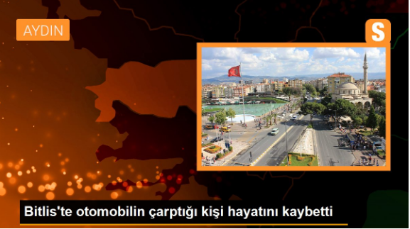 Bitlis'te otomobilin çarptığı kişi hayatını kaybetti